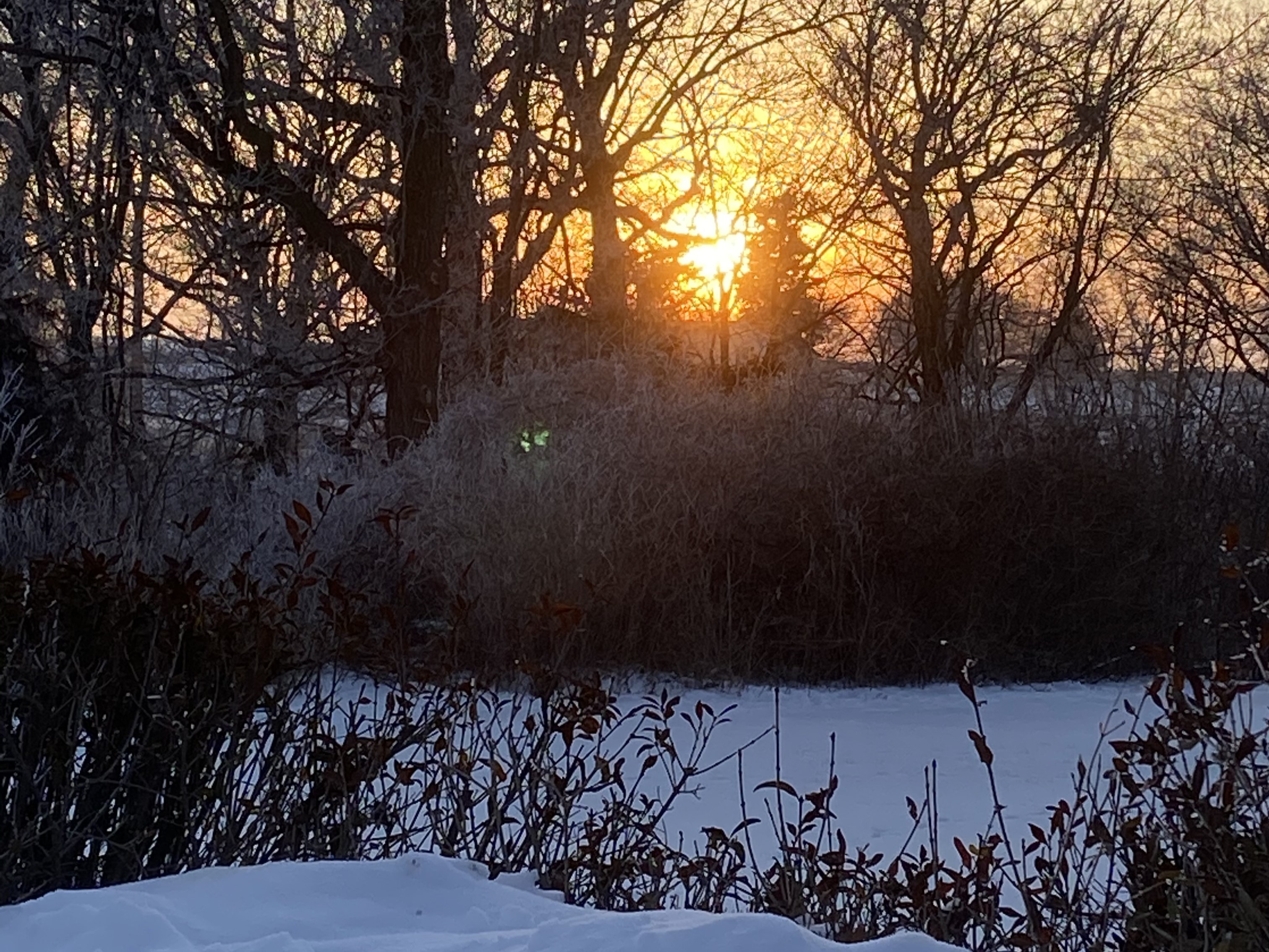 Local shopping and services